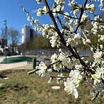 Frühjahrsauftakt am Campus Efeuweg