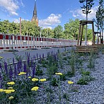 Die Petersburger Straße wird grüner