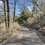 Projektstart im Viktoriapark in Kreuzberg