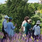 Bürospaziergang durch Mauerpark und Falkplatz